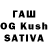 Конопля индика Ward Toledo