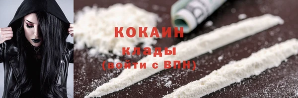 кокс Белокуриха