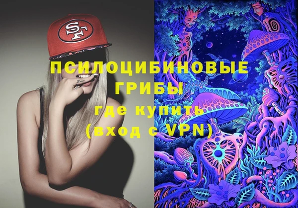 Альфа ПВП Беломорск