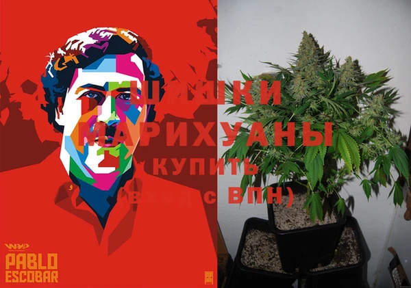 Альфа ПВП Беломорск