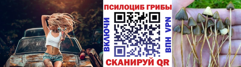 Псилоцибиновые грибы Cubensis  где продают   Верхний Уфалей 